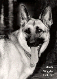 Skyy_with_Ball_Card_2